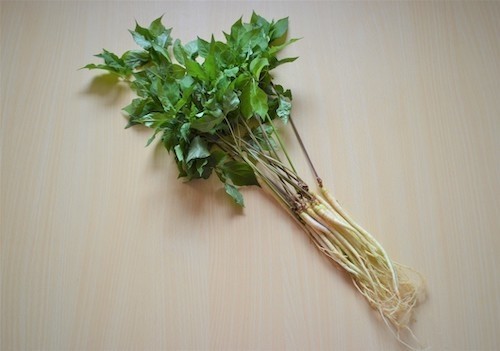 mametoku