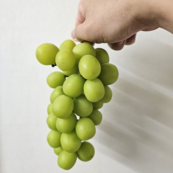 건강의 모든 것