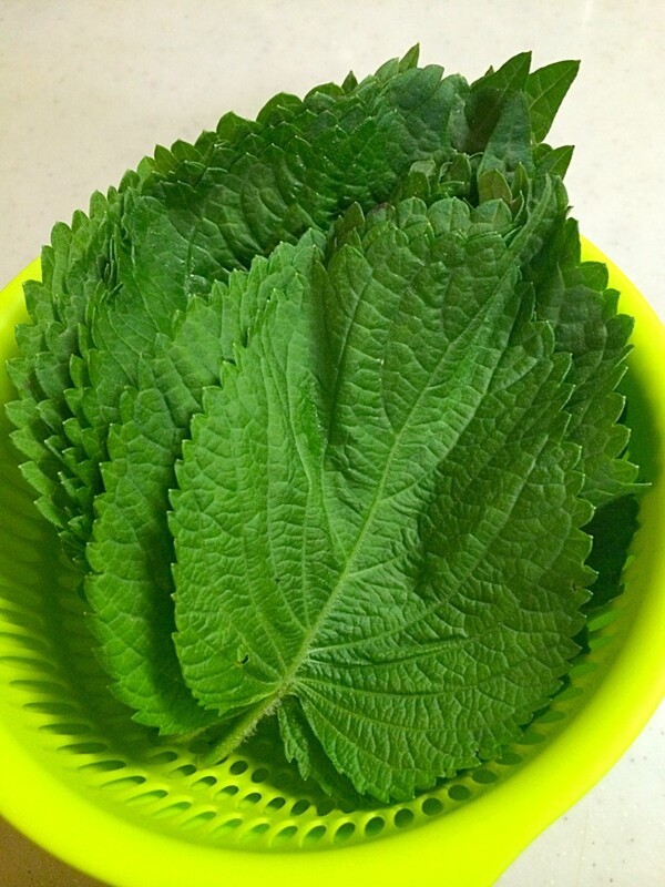 깻잎은 무조건