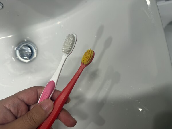 건강의 모든 것