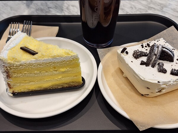 건강의 모든 것